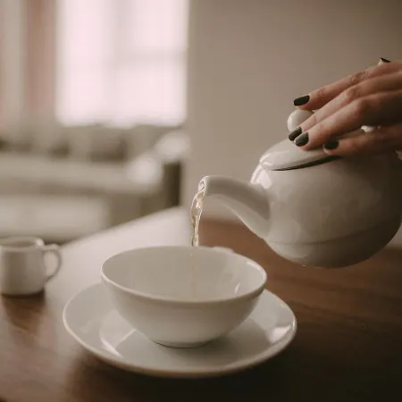 Pegaz Vrnjačka Banja