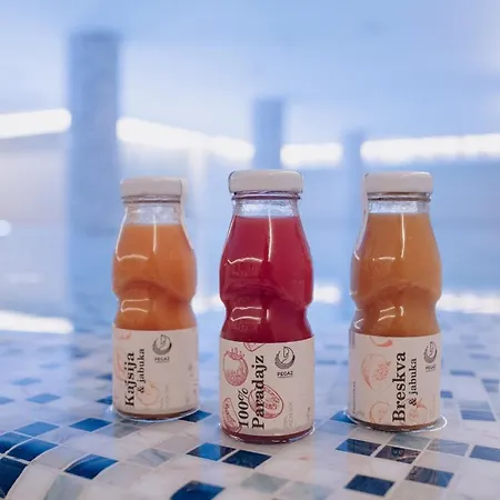 Pegaz 4* Vrnjačka Banja